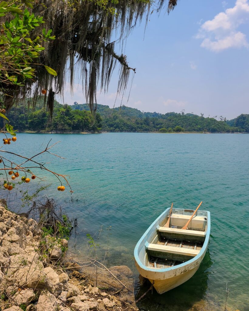 LAGUNA GUINEA