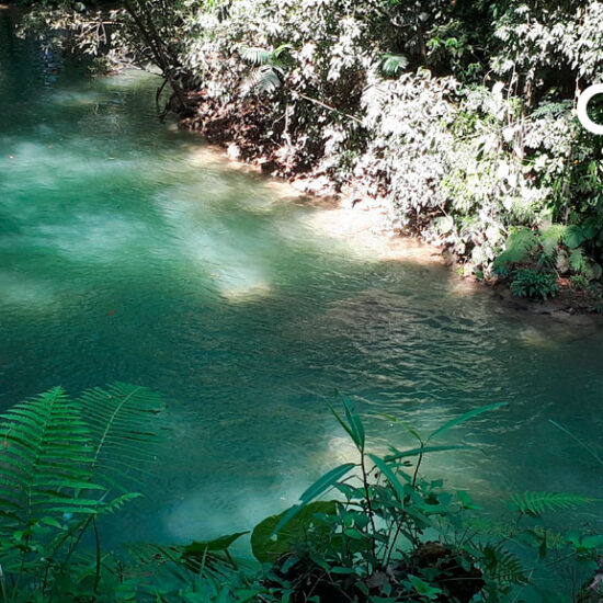 Cascadas-Las-Golondrinas-Visit-Ocosingo-Chiapas-México1