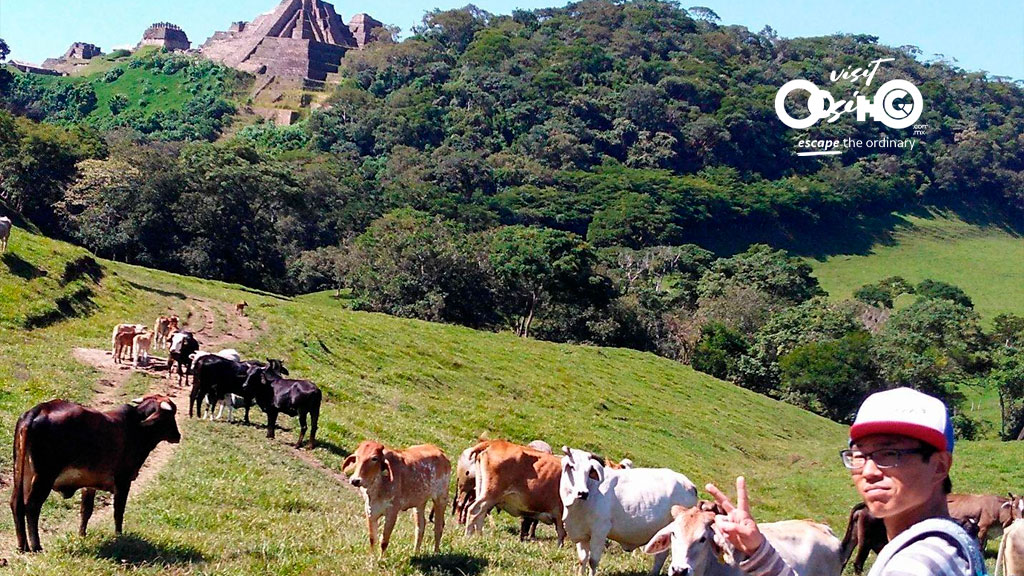 Centro Ecoturístico Kayab cabañas Ocosingo Visit Ocosingo