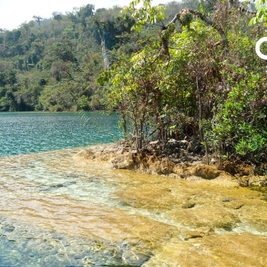 LAGUNA-MIRAMAR--OCOSINGO-VisitOcosingo-Centro-Ecoturístico-Visit-Ocosingo-Chiapas-México1