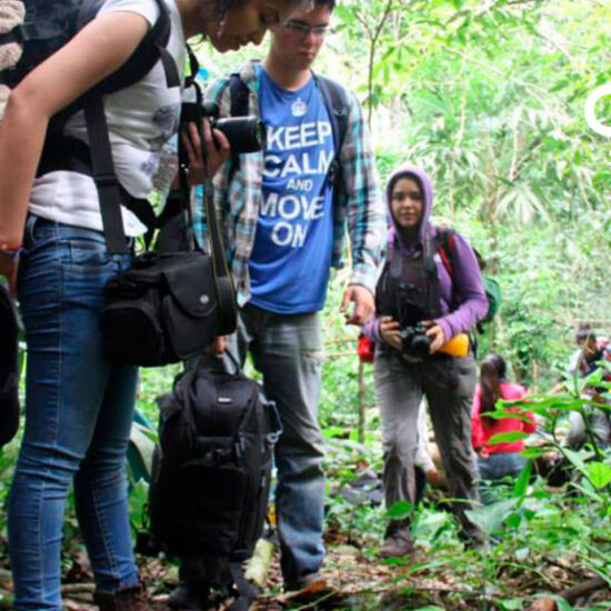 TRES-LAGUNAS-Centro-Ecoturístico-Visit-Ocosingo-Chiapas-México1