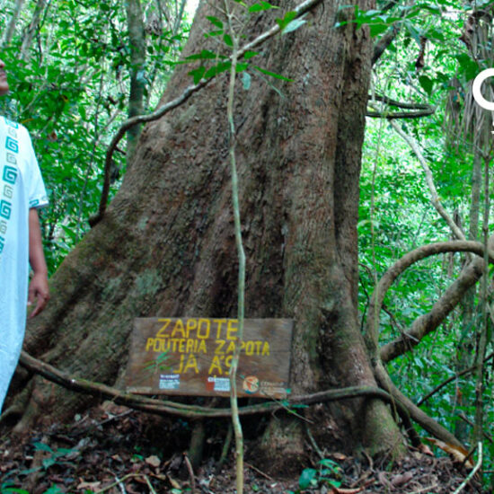 TRES-LAGUNAS-Centro-Ecoturístico-Visit-Ocosingo-Chiapas-México1