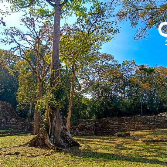 Yaxchilán-Zona-Arqueológica-Visit-Ocosingo-Chiapas1